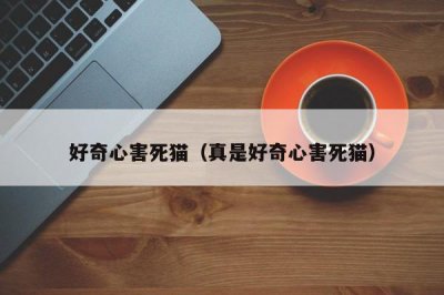 ​好奇心害死猫（真是好奇心害死猫）