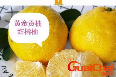​黄金贡柚哪里产的最好吃？黄金贡柚几月份成熟