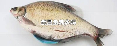 ​武昌鱼刺多吗怎么做好吃 武昌鱼刺多吗 适合老人吃吗