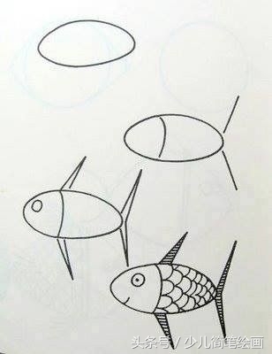 少儿简笔绘画 鱼的不同画法 带详细步骤 教小朋友画鱼