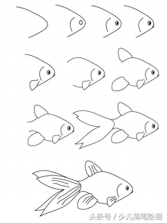 少儿简笔绘画 鱼的不同画法 带详细步骤 教小朋友画鱼
