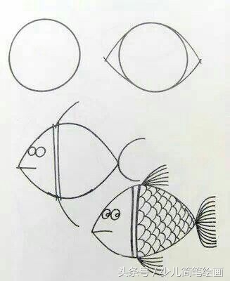 少儿简笔绘画 鱼的不同画法 带详细步骤 教小朋友画鱼