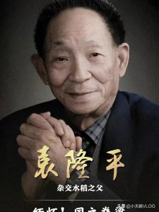 ​袁隆平的故事概括（袁隆平的故事概括150字）