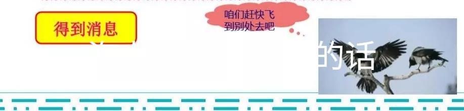 海力布石头的来历简介（猎人海力布变成石头的由来）-