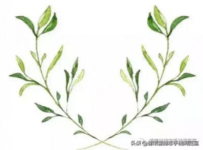 ​盛字五笔怎么打（欢字五笔怎么打）