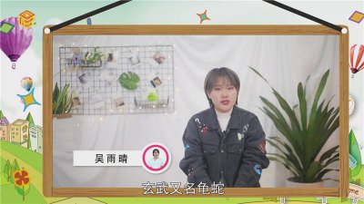 ​玄武是一种动物还是两种动物 玄武是一种动物还是两种花