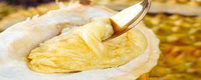 ​什么榴莲甜度高 榴莲最甜的品种