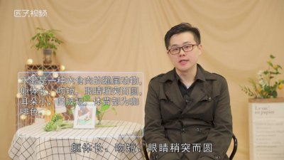 ​小水濑是什么动物类型 小水濑是什么动物图片