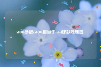 ​5800h参数(5800h相当于intel哪款处理器)