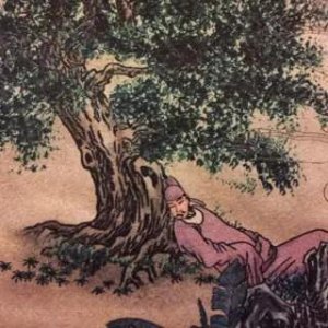 ​南柯一梦出自哪个典故？你知道主人公是谁吗？
