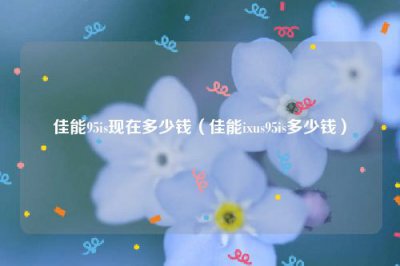 ​佳能95is现在多少钱（佳能ixus95is多少钱）
