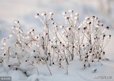 ​雪的颜色形状作用