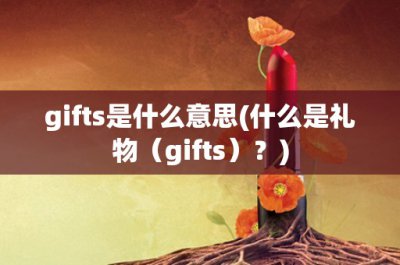 ​gifts是什么意思(什么是礼物（gifts）？)