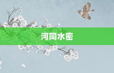 ​河同水密