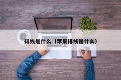 ​排线是什么（苹果排线是什么）