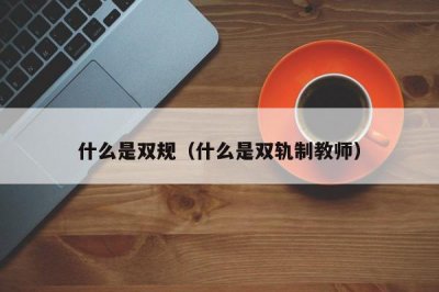 ​什么是双规（什么是双轨制教师）