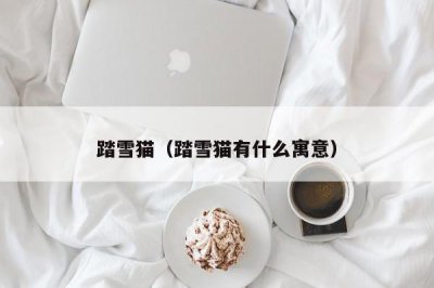 ​踏雪猫（踏雪猫有什么寓意）