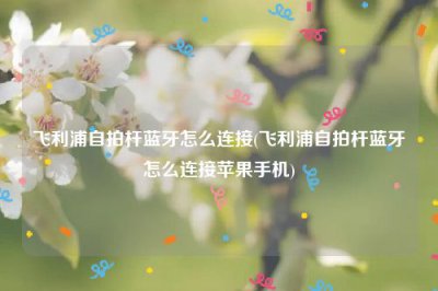 ​飞利浦自拍杆蓝牙怎么连接(飞利浦自拍杆蓝牙怎么连接苹果手机)