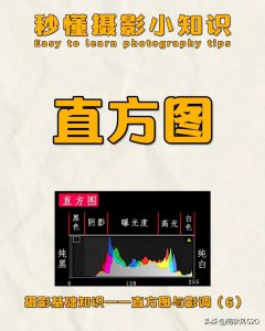 ​纯黑色怎么调出来（黑色的最佳10种颜色搭配）