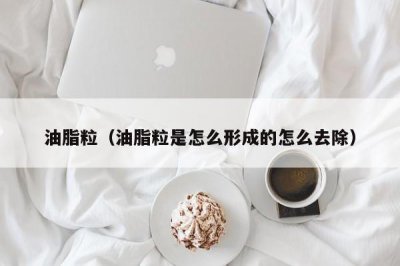​油脂粒（油脂粒是怎么形成的怎么去除）