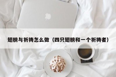 ​翅膀与祈祷怎么做（四只翅膀和一个祈祷者）