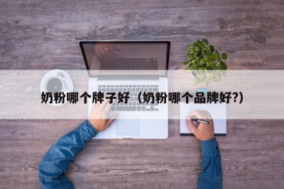 ​奶粉哪个牌子好（奶粉哪个品牌好?）