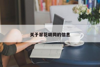 ​关于翠花胡同的信息