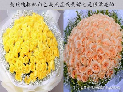 ​黄玫瑰系列花语，黄冠假日公主金辉金香玉金枝玉叶闪耀玫瑰鉴赏