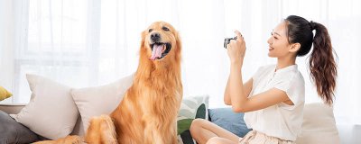 ​狗为什么要打洞 为什么狗也要打疫苗
