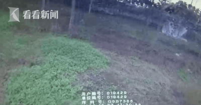 ​每次偷一千斤猕猴桃犯法吗视频 偷一千多的东西要关多久