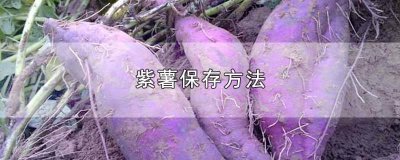 ​紫薯应该如何保存 紫薯应该怎样保存