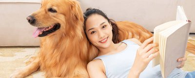 ​狗狗配完种为什么不能喝水 狗狗配完种不吃东西