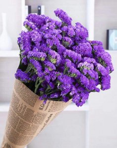 ​送给朋友的花花语 送朋友的花是什么花