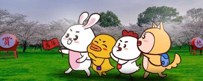​小鸭子的故事百科 小鸭子的简短故事