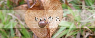 ​bps含义 计算机单位bps含义