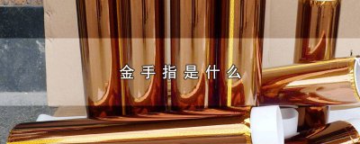 ​电脑的金手指 电脑金手指是啥