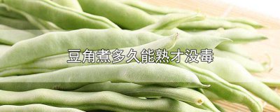 ​豆角煮不熟会有毒吗 豆角煮不熟有毒吗