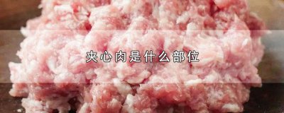 ​猪肉夹心肉是什么部位 夹心肉是什么部位的肉