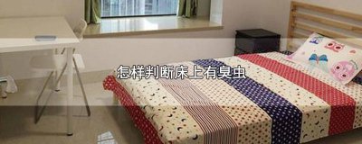 ​怎样判断床上有臭虫和虫卵 床怎么会有臭虫