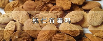 ​中药桃仁有毒吗 炒熟的桃仁有毒吗