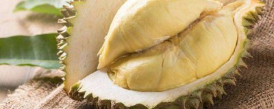 ​3天吃一个榴莲可以吗 一个榴莲分三天吃完可以吗