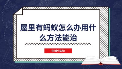 ​消除蚂蚁的最好方法视频 怎么样能消除蚂蚁
