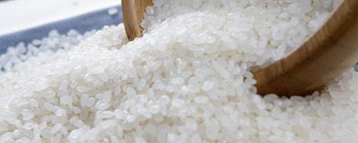 ​大米生虫可以放冰箱嘛 大米要怎样存放才不会生虫