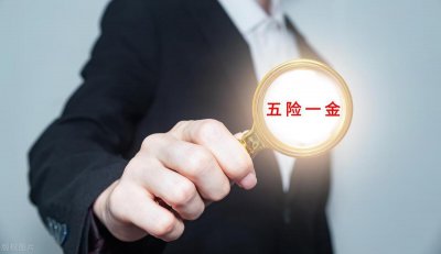 ​五险一金和五险两金的区别 五险一金和五险两金有什么区别