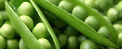 ​豌豆尖怎么吃最好 豌豆尖儿怎么吃