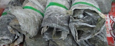 ​海带发霉后还能吃吗有毒吗 海带发霉后还能吃吗图片