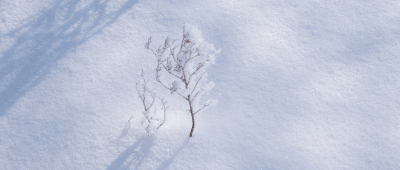 ​下雪冷还是化雪冷为什么 下雪冷还是化雪冷温度哪个低