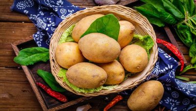 ​土豆发芽吃了会怎么样 冬天土豆发芽还能吃吗