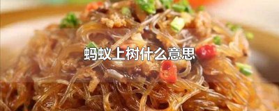 ​蚂蚁上树 水晶之恋 沙漠风暴 漫游蚂蚁上树水晶之恋