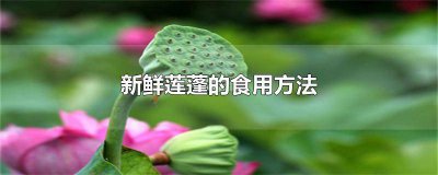 ​新鲜莲蓬的食用方法视频 新鲜莲蓬的食用方法有哪些
